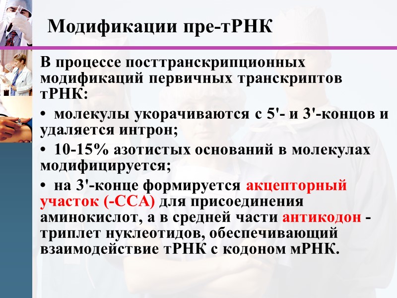 Модификации пре-тРНК В процессе посттранскрипционных модификаций первичных транскриптов тРНК: •  молекулы укорачиваются с